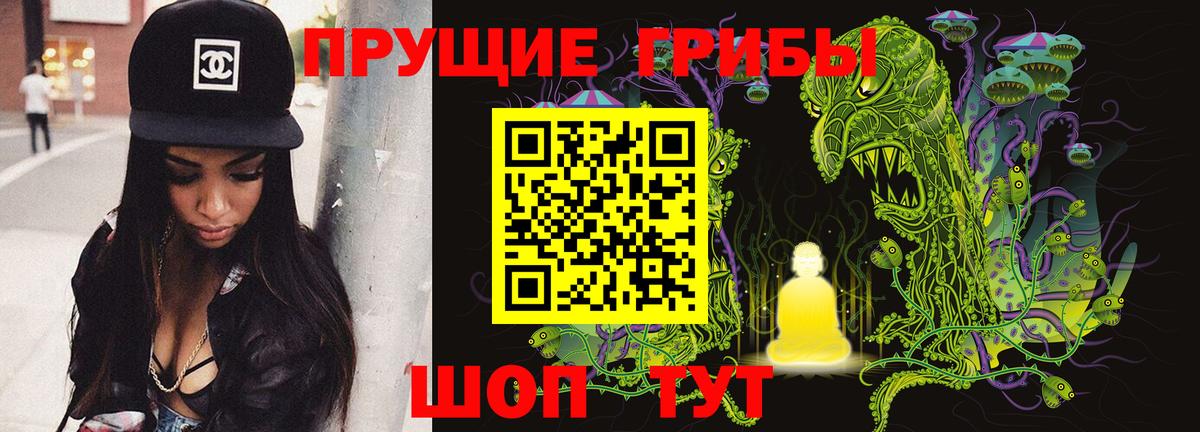 Псилоцибиновые грибы мицелий Мценск